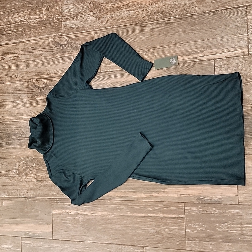 NWT WILD FABLE TURTLENECK DRESS